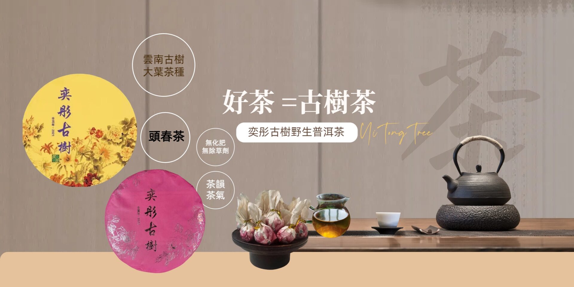 Ytt電腦