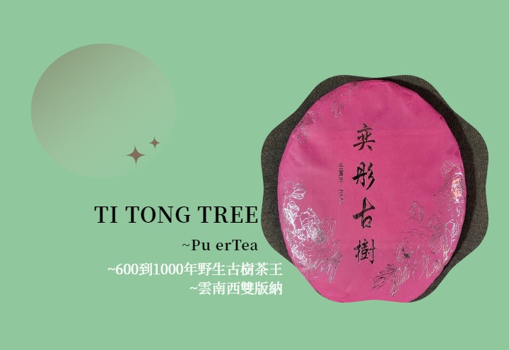 手機中ytt