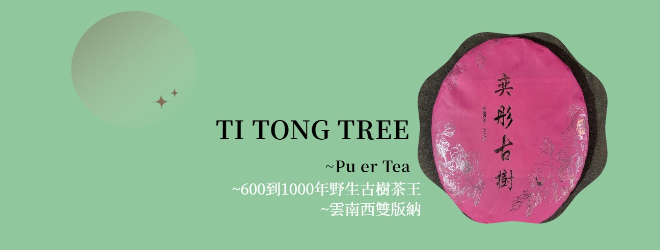電腦中ytt