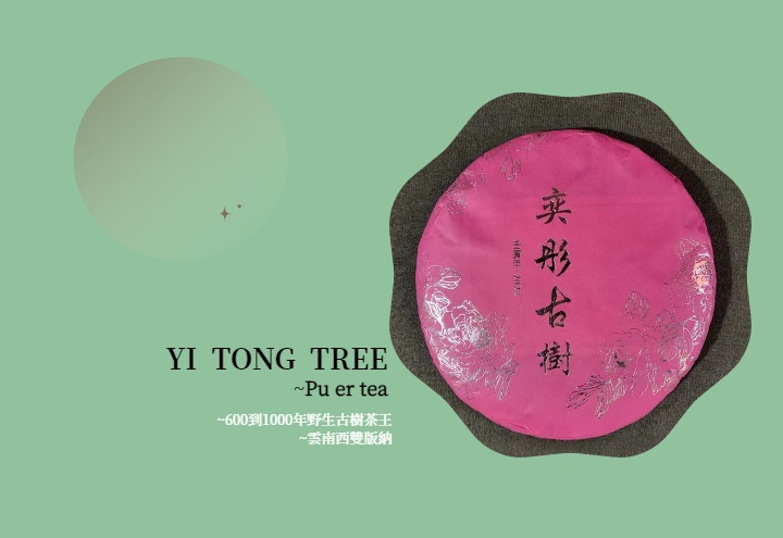 手機中ytt(改大)