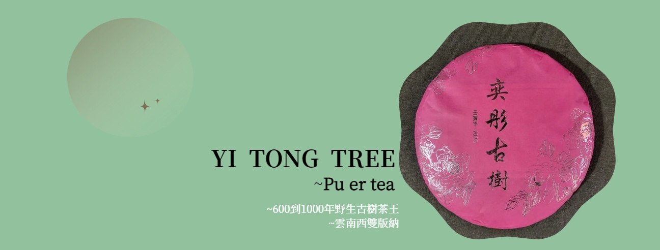 電腦中ytt(改大)