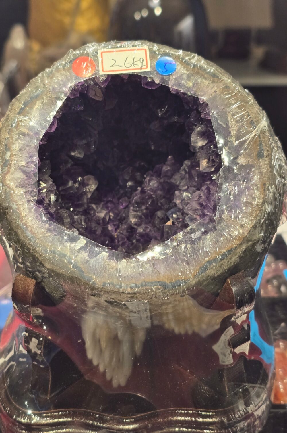 2.6