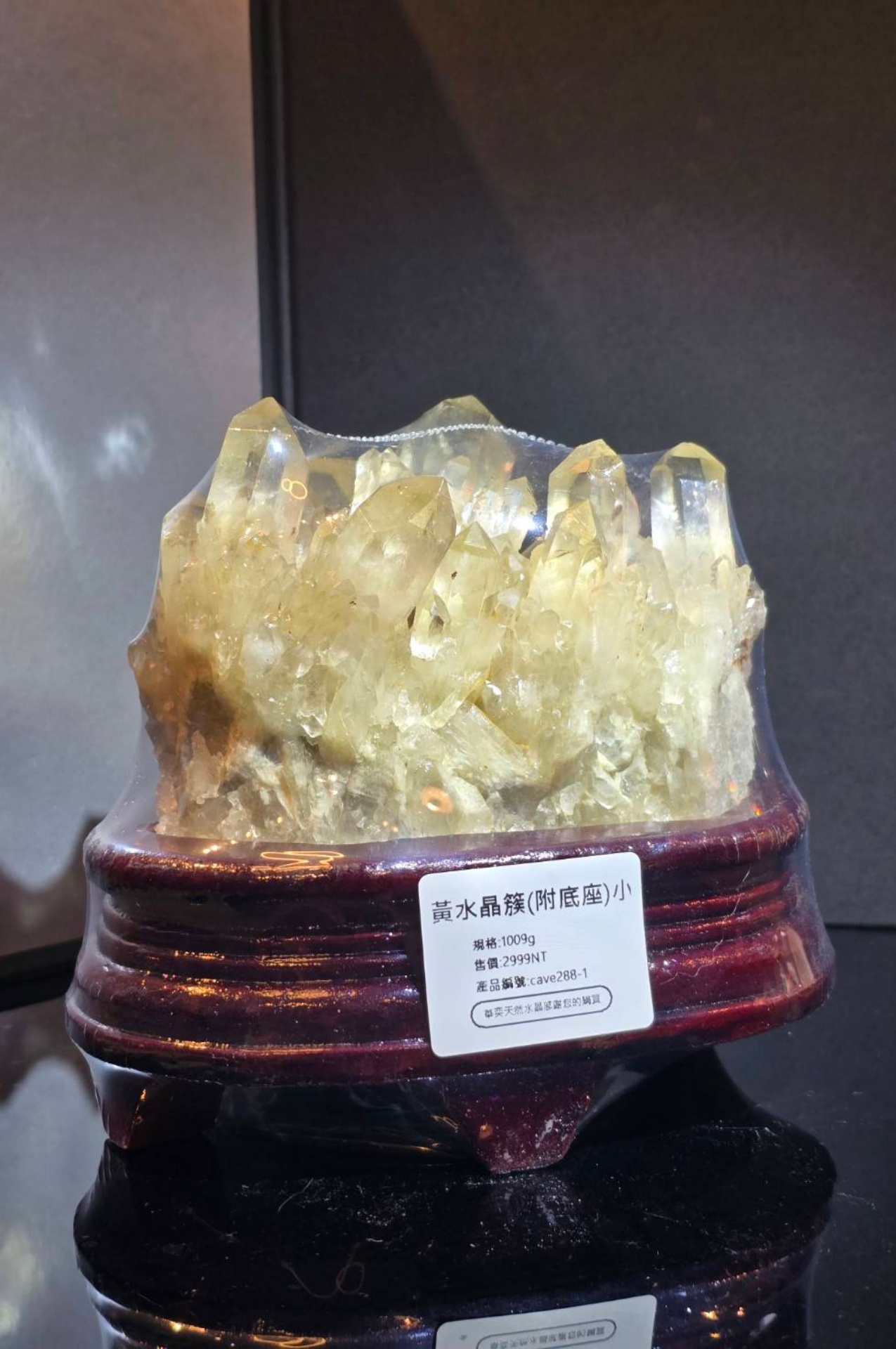 1009g